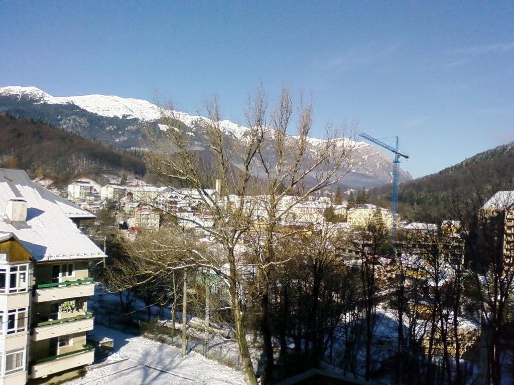 Apartamento Mountain View Nest Sinaia Exterior foto